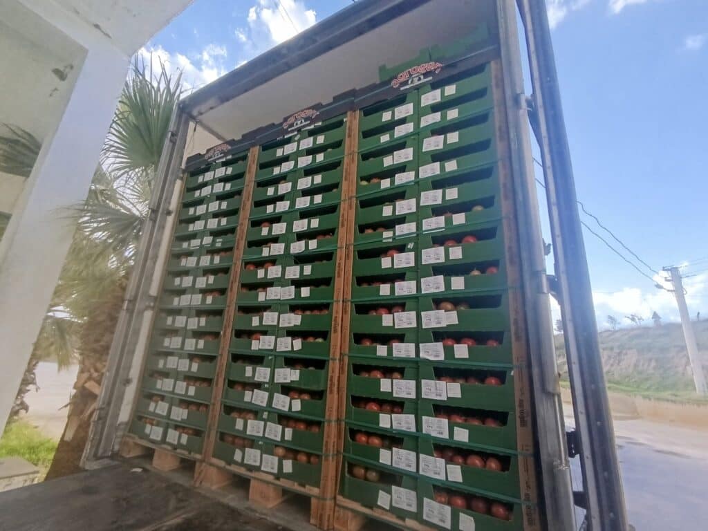BBN Transport, Türkiye’den Polonya’ya domates sevkiyatını frigo araçlarıyla güvenli ve planlı şekilde gerçekleştirdi. Operasyon boyunca soğuk zinciri koruduk ve ürün kalitesini güvence altına aldık.