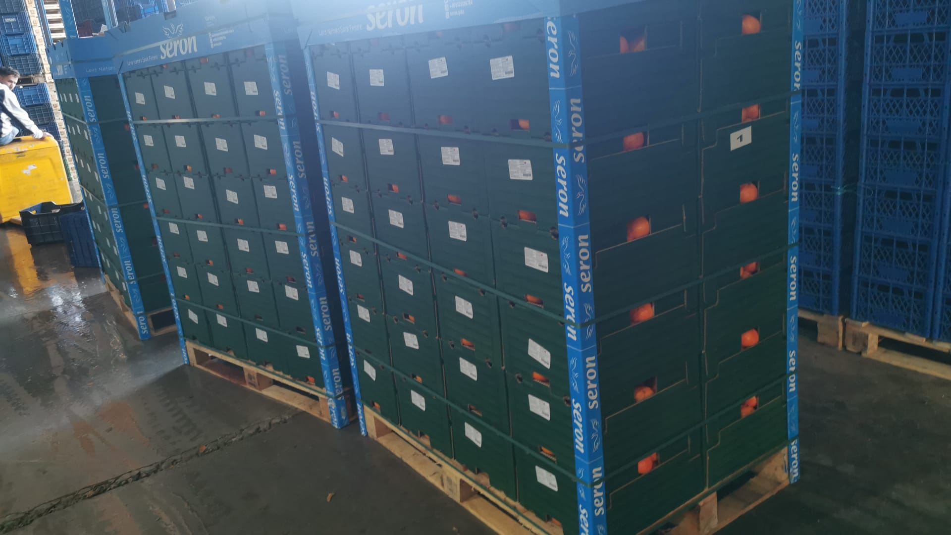 Turkey to Poland Tangerine Transport with refrigerated transport. Partial and full truck load options available with BBN Transport.