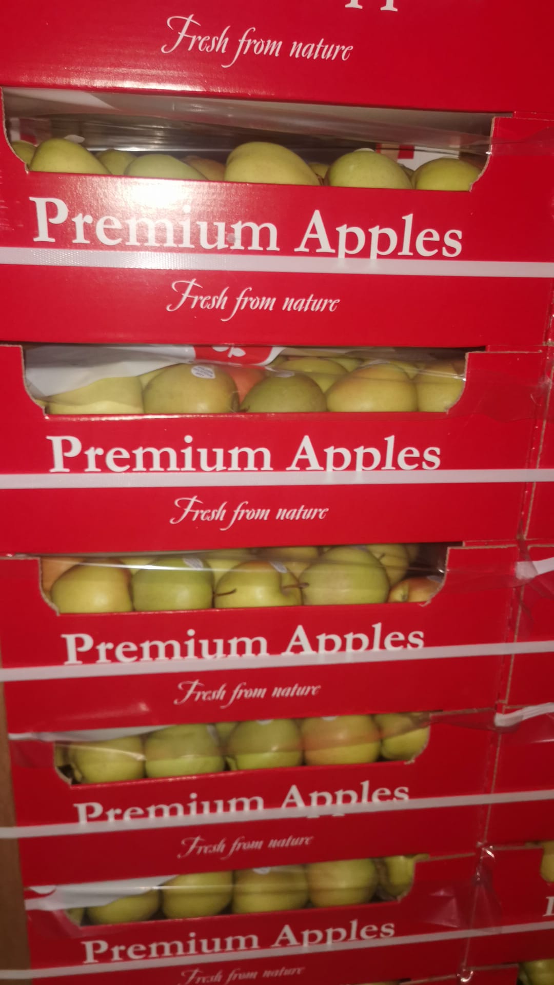 Ongoing apple transport from Poland to Jordan with scheduled departures and reliable cold chain logistics ensuring fresh and secure deliveries.