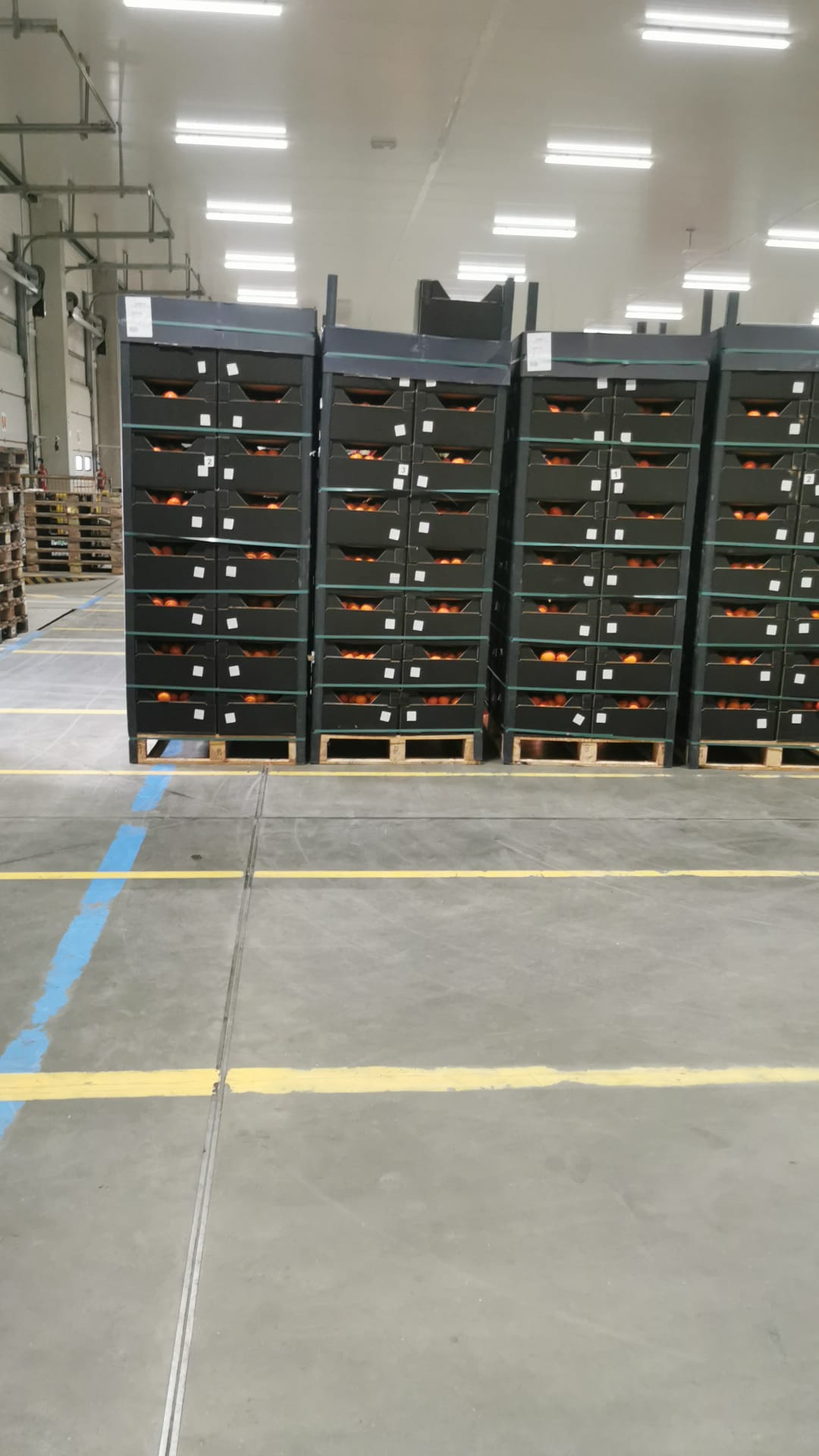 Tangerine transport from Türkiye to Poland