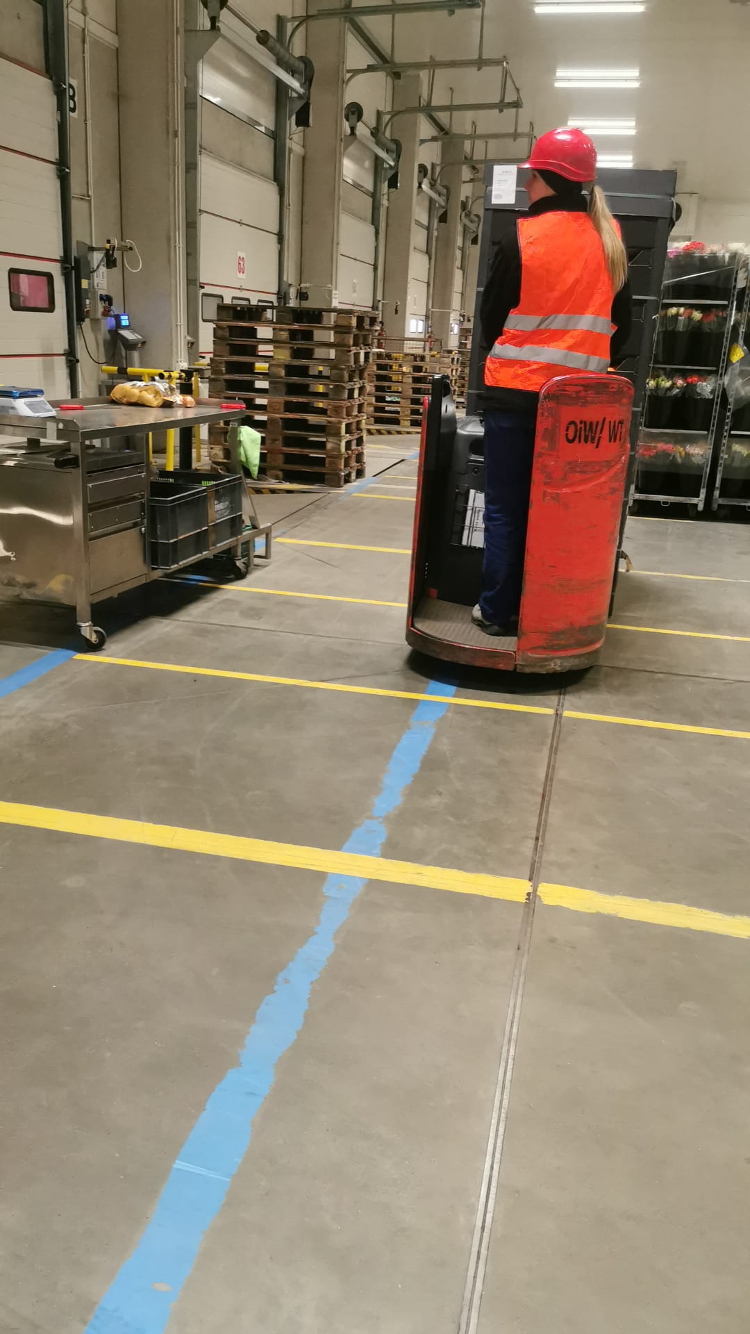 Tangerine transport from Türkiye to Poland