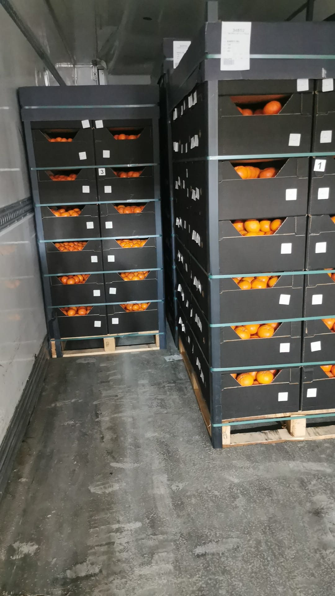 Tangerine transport from Türkiye to Poland