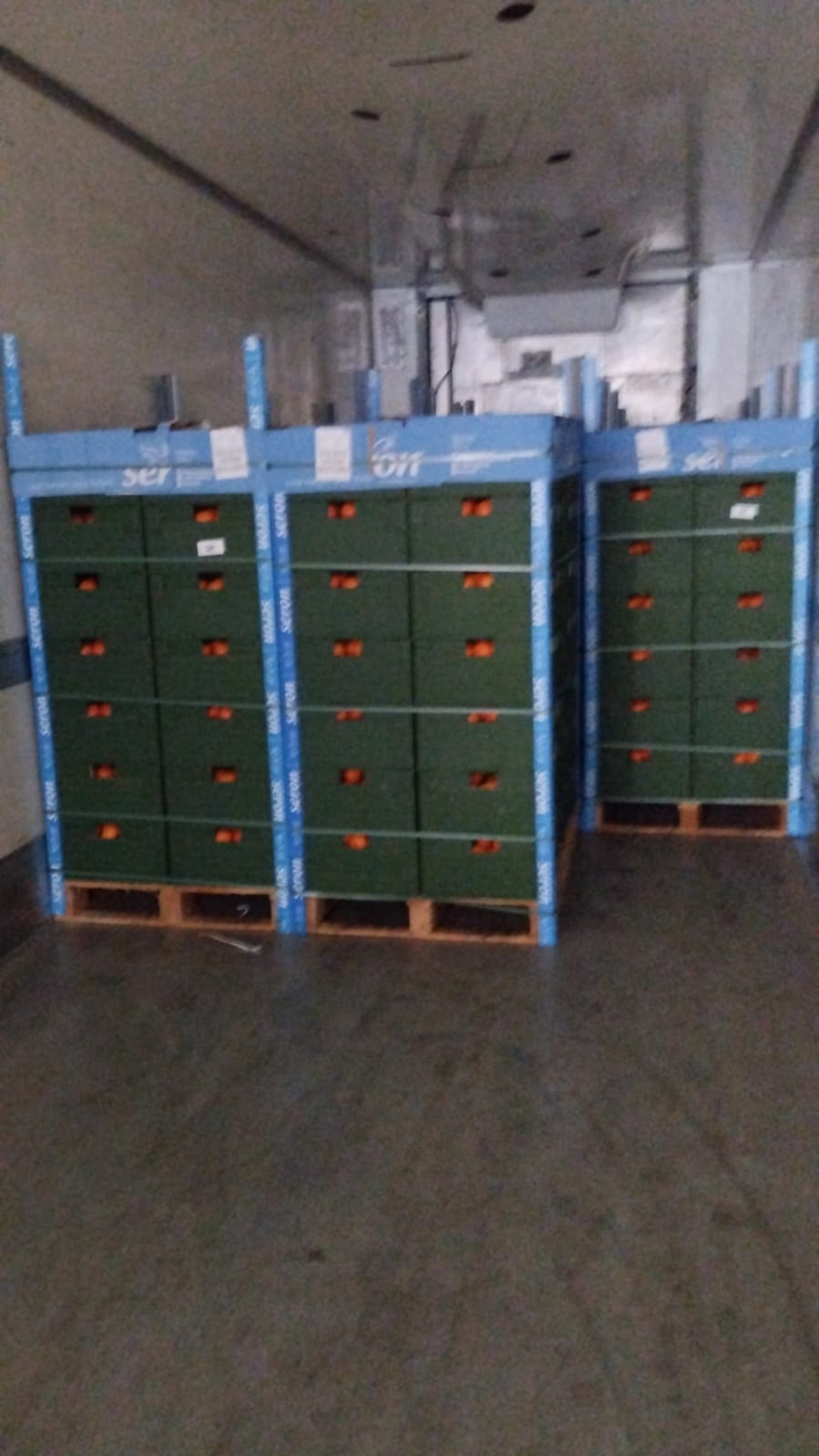 Turkey to Poland Tangerine Transport