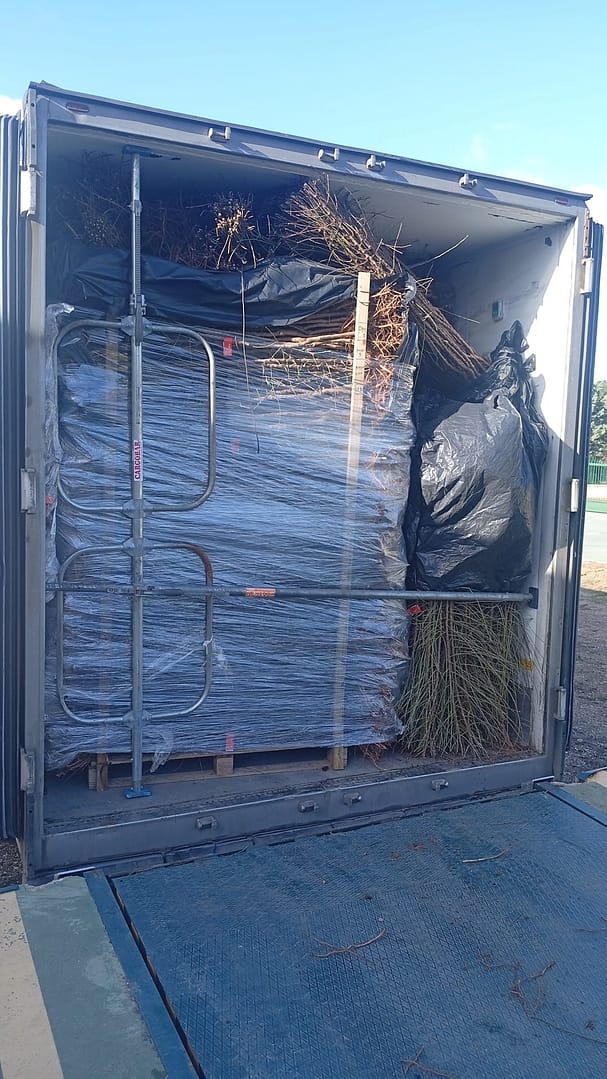 İspanya Gürcistan fidan sevkiyatı