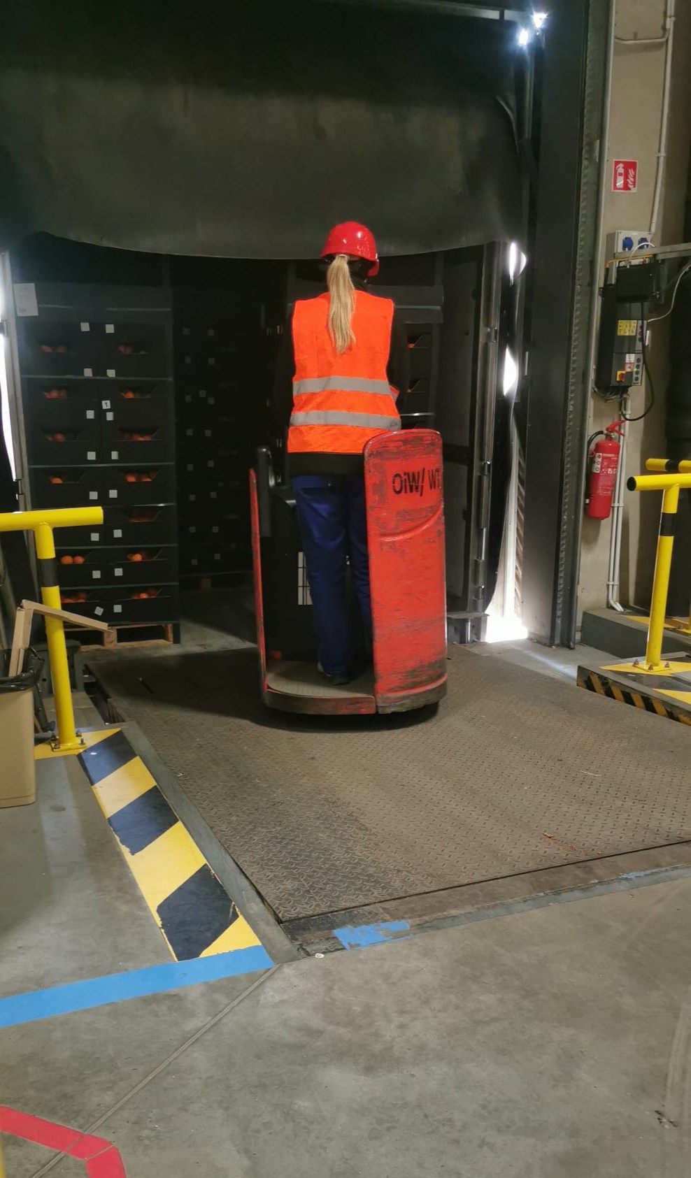 Tangerine transport from Türkiye to Poland