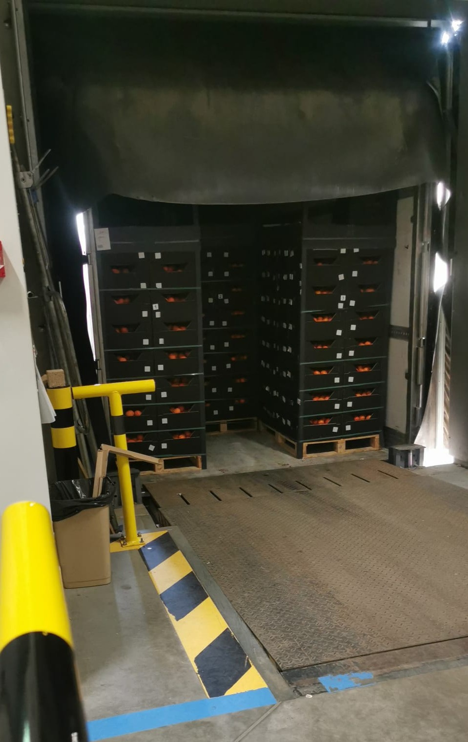 Tangerine transport from Türkiye to Poland