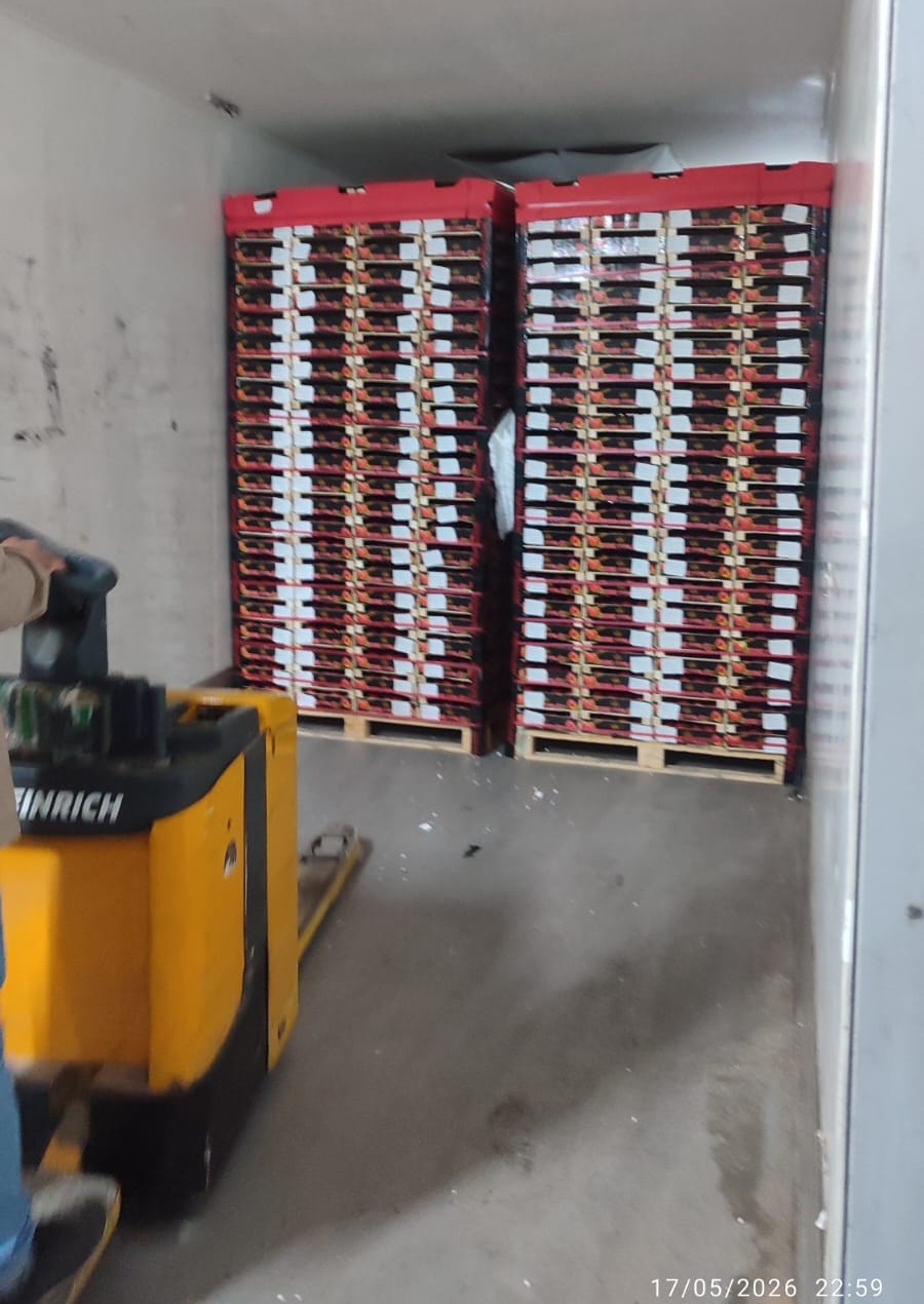 Ongoing fresh nectarine transport from Turkey to Russia with refrigerated transport solutions by BBN Transport.
