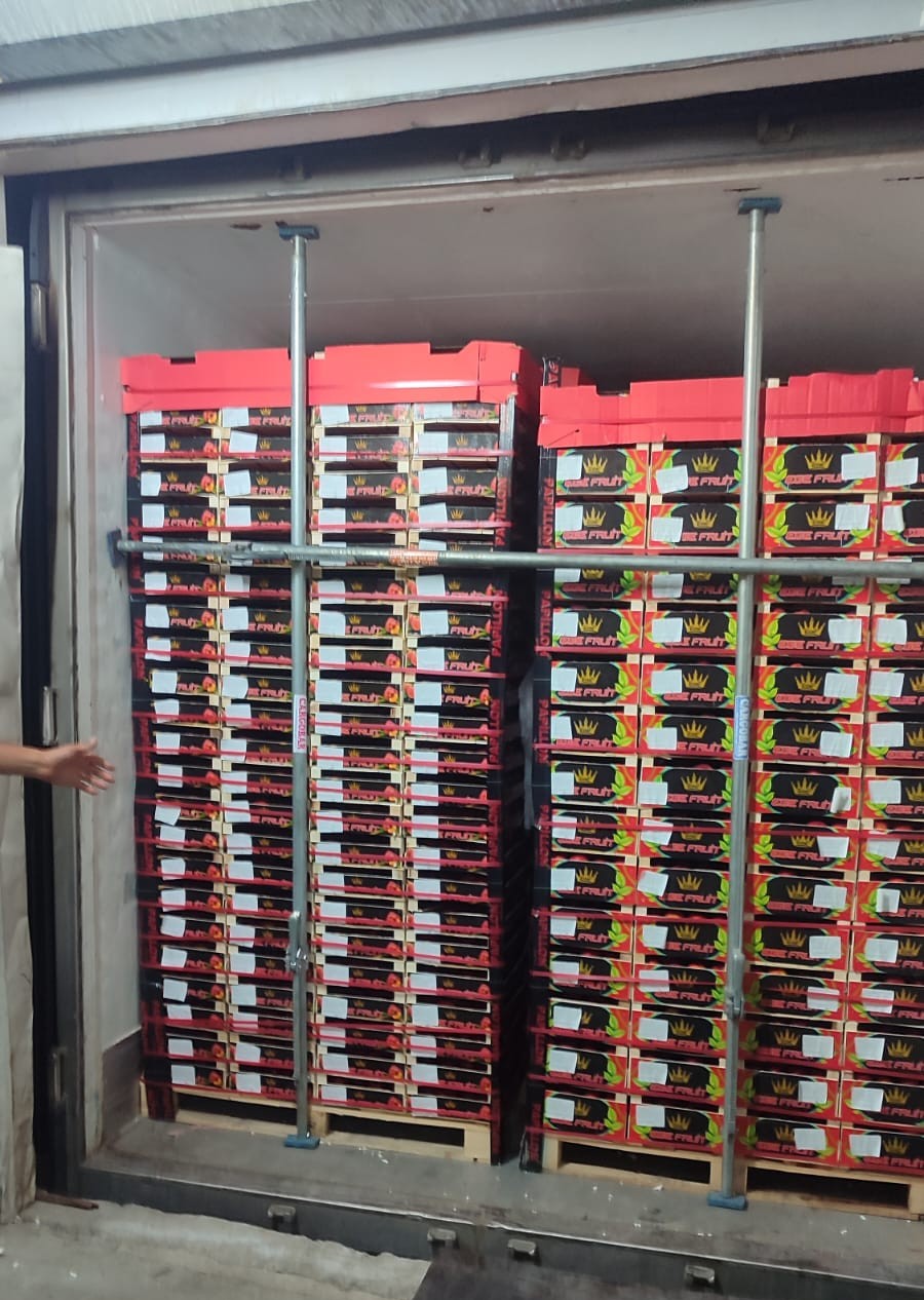 Ongoing fresh nectarine transport from Turkey to Russia with refrigerated transport solutions by BBN Transport.