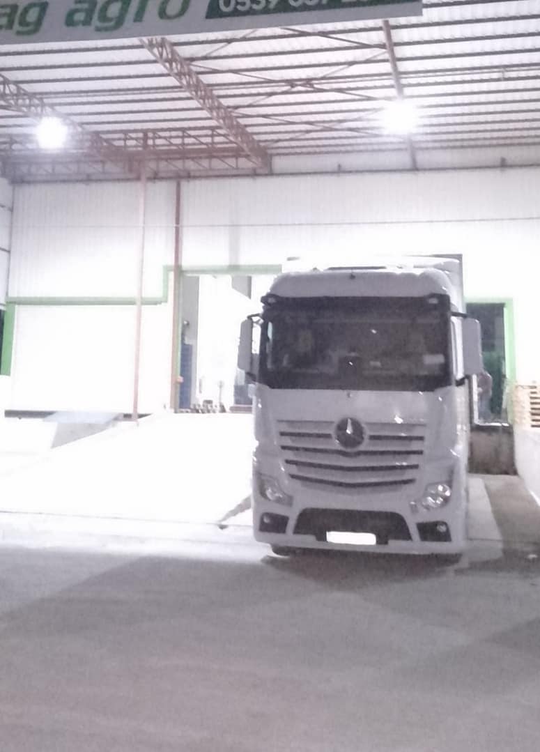 Fresh zucchini transport from Türkiye to Latvia