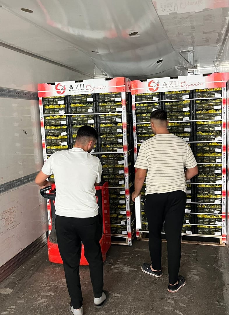 Harvested from Turkey’s fertile lands, the grapes were transported under cold chain assurance in refrigerated trucks and safely reached Latvia