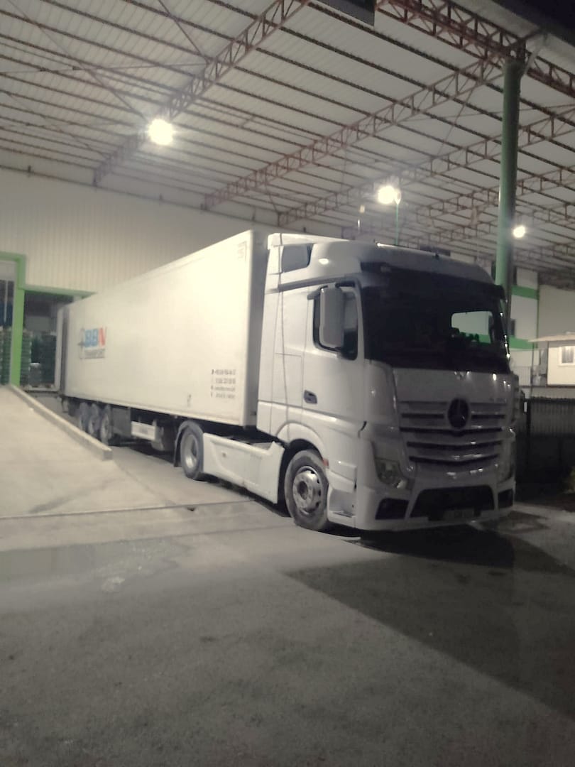 Fresh zucchini transport from Türkiye to Latvia