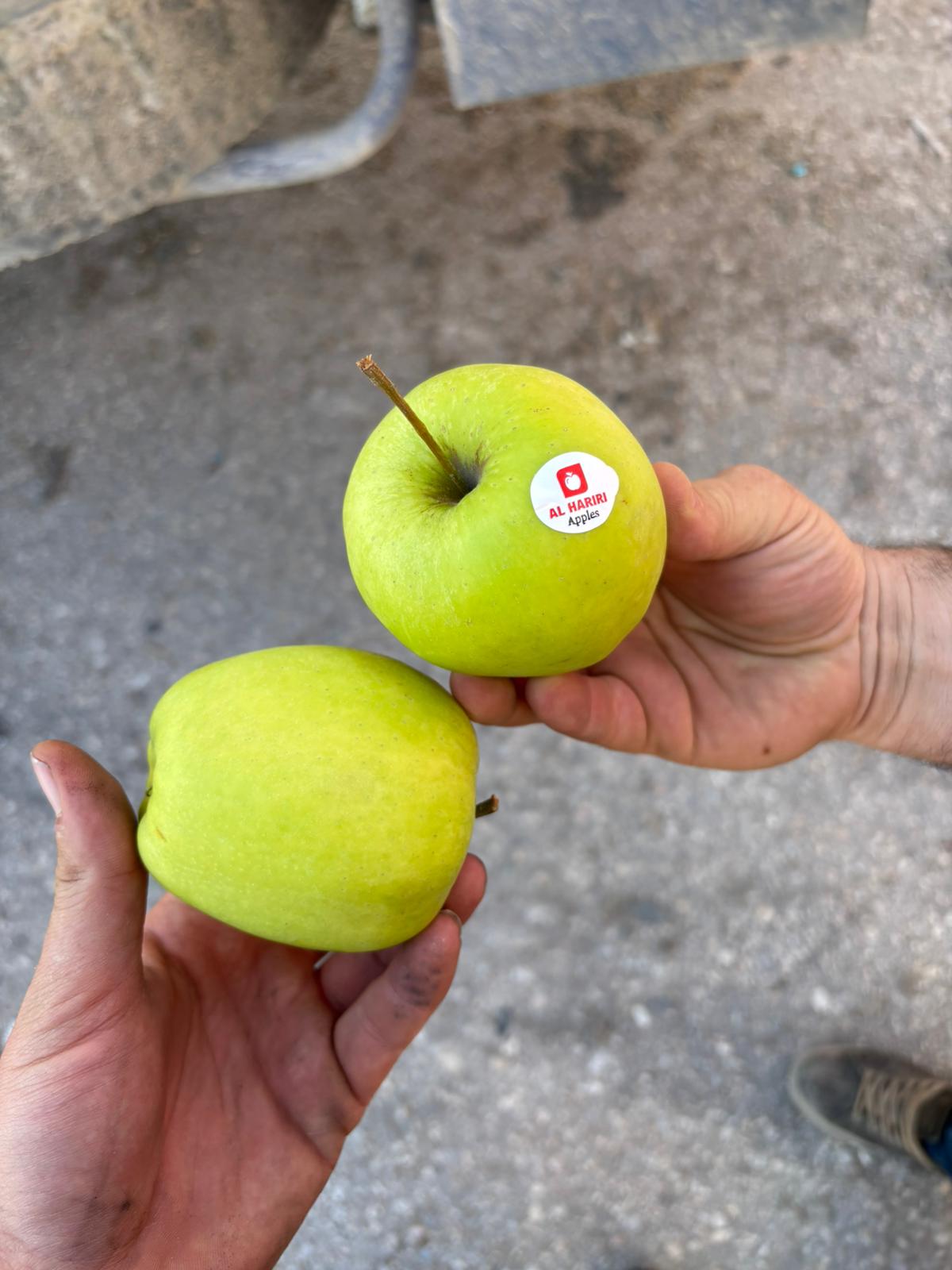 BBN Transport has successfully completed an apple transport from Poland to Jordan via Syria, ensuring smooth transit operations and reliable delivery.