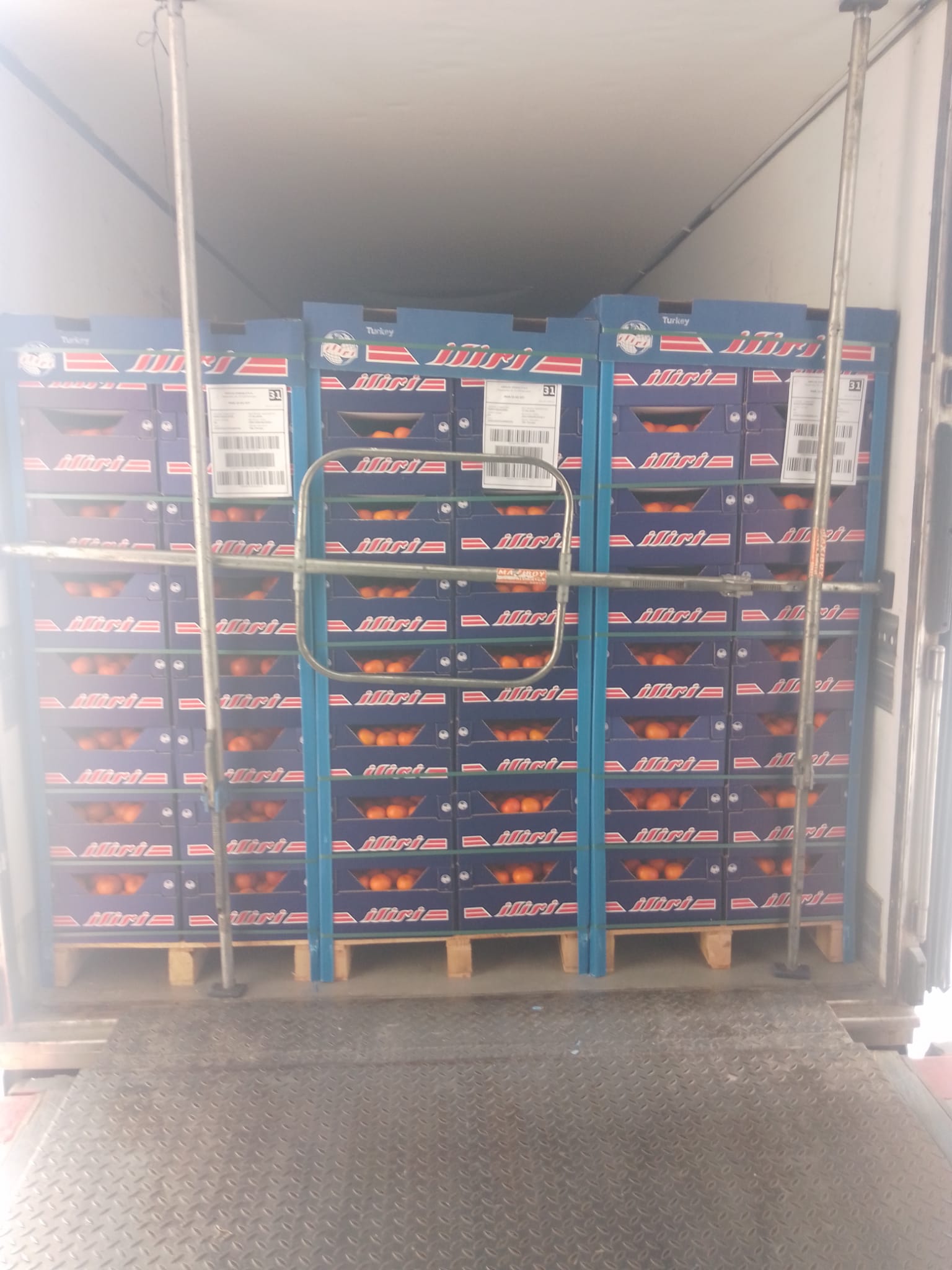 Ongoing tangerine transport from Turkey to Poland with