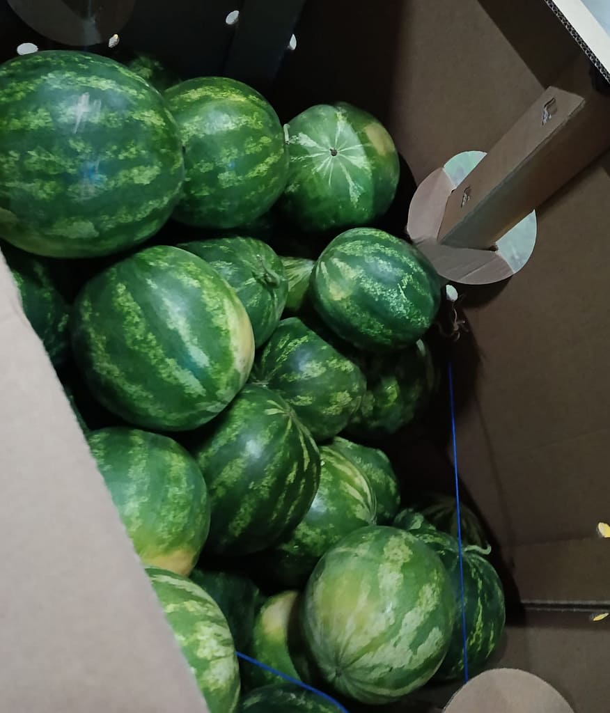 Ongoing watermelon transport from Turkey to Poland with professional refrigerated logistics solutions by BBN Transport.